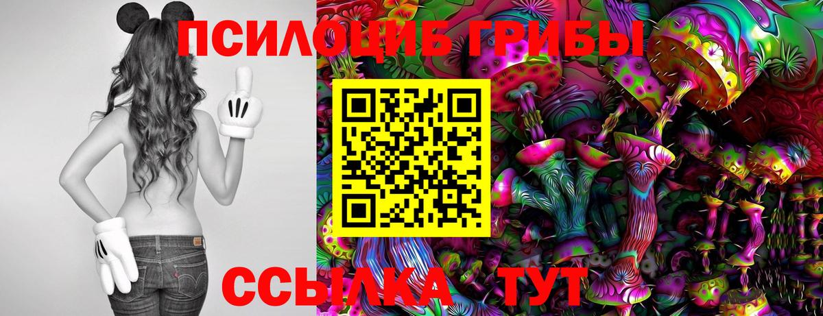 Волгоград  Псилоцибиновые грибы Psilocybine cubensis  Галлюциногенные грибы MAGIC MUSHROOMS  Вход с VPN 
