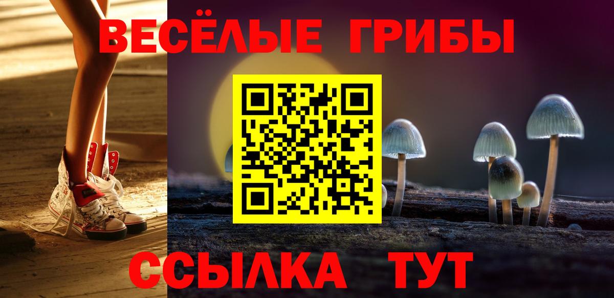 Галлюциногенные грибы Cubensis Волгоград
